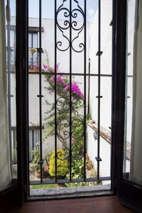 Villa Casa Ayvar. Espectacular Villa Colonial En El Corazon De Coyoacan. Mexikóváros Kültér fotó