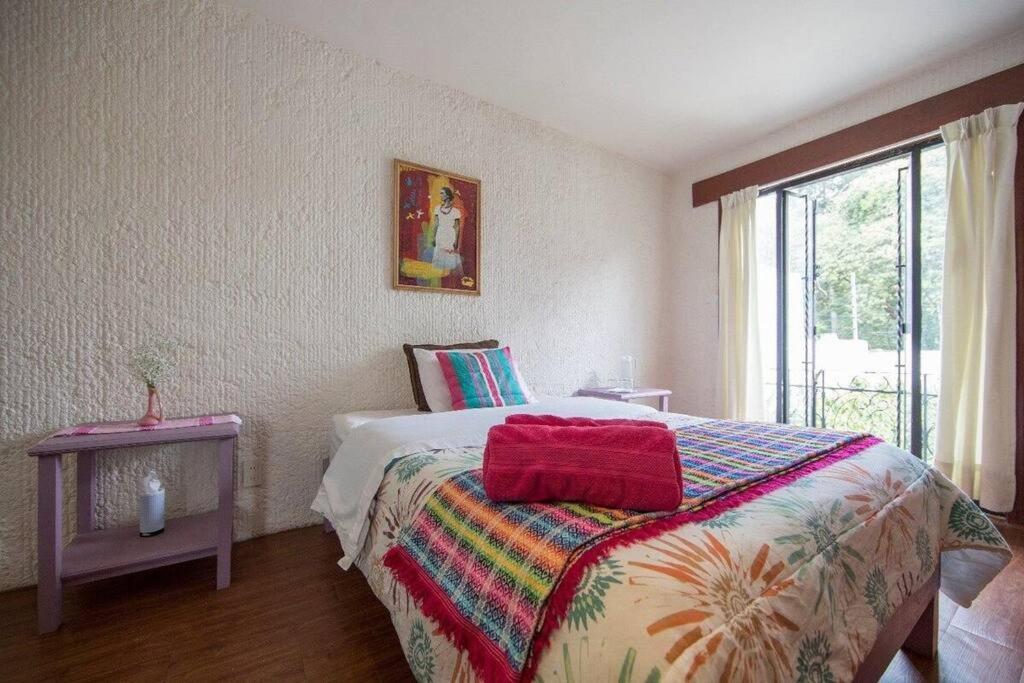 Villa Casa Ayvar. Espectacular Villa Colonial En El Corazon De Coyoacan. Mexikóváros Kültér fotó