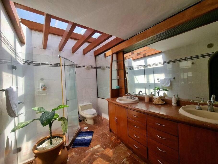 Villa Casa Ayvar. Espectacular Villa Colonial En El Corazon De Coyoacan. Mexikóváros Kültér fotó